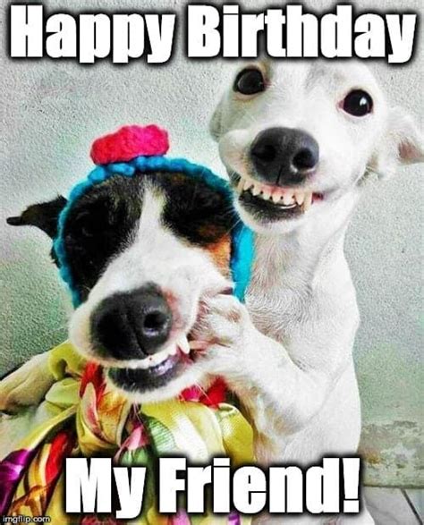 friends happy birthday memes|funny friend birthday images.